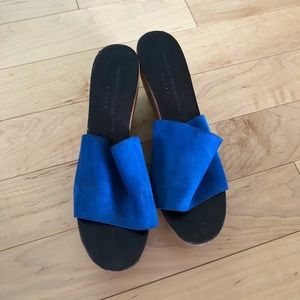 Wood and Suede Blue platform Wedges